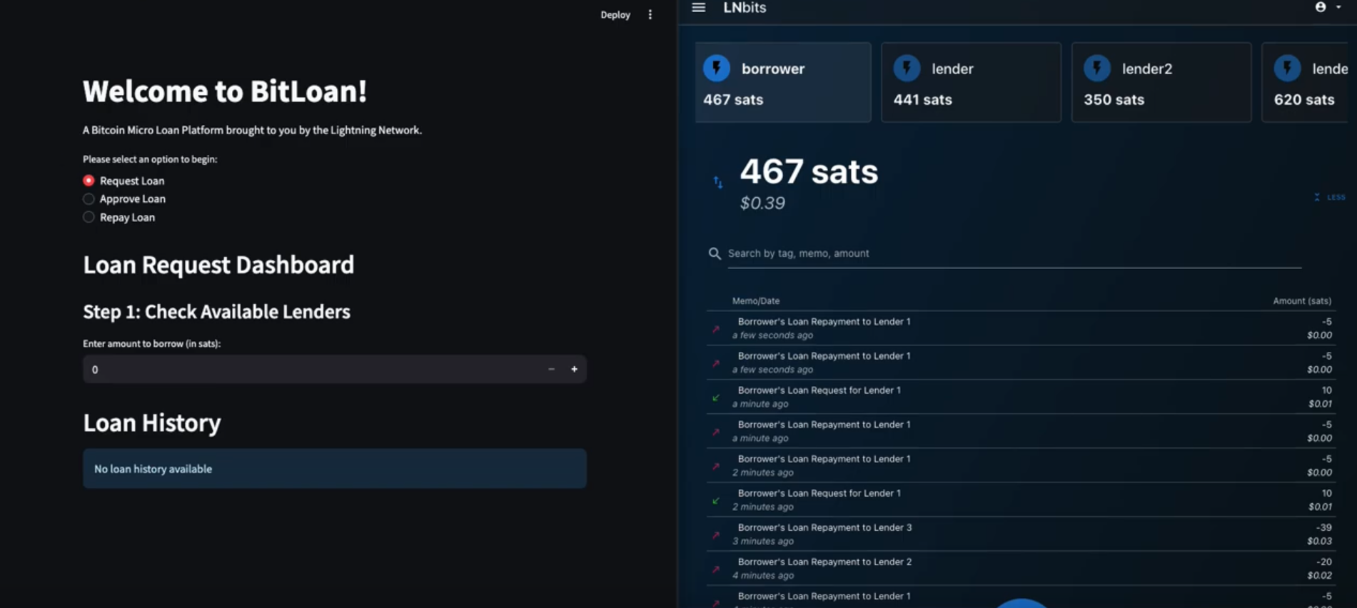 BitLoan Platform Screenshot